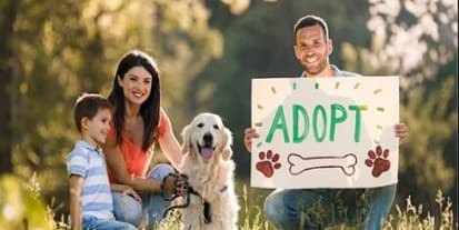 Claim Your Deduction